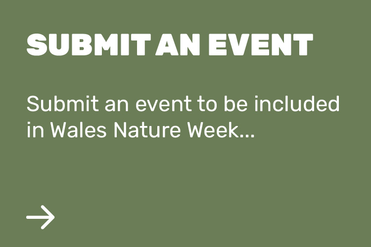 Submit an event to be included in Wales Nature Week